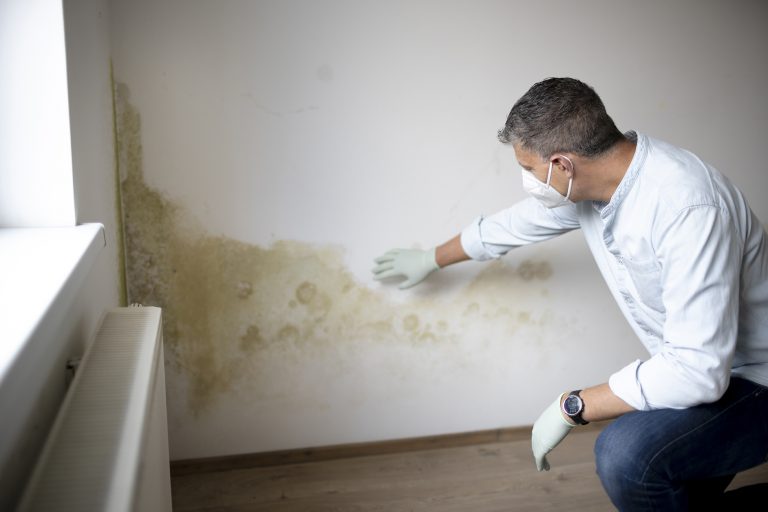 rising damp worcester